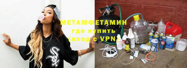 шишки Гусиноозёрск