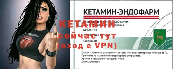 шишки Гусиноозёрск