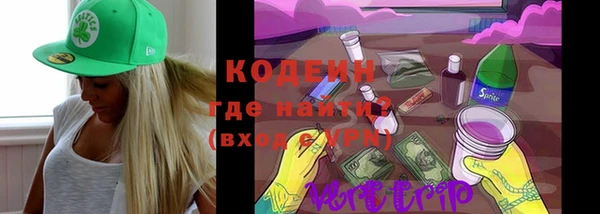 шишки Гусиноозёрск