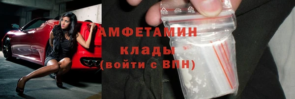шишки Гусиноозёрск