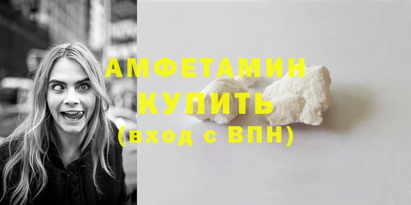шишки Гусиноозёрск