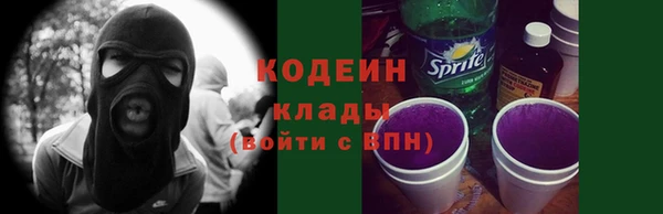 шишки Гусиноозёрск