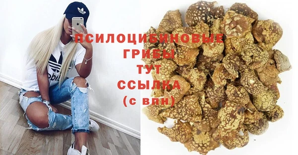 шишки Гусиноозёрск
