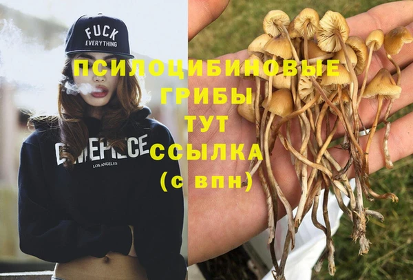 амфетамин Гусев