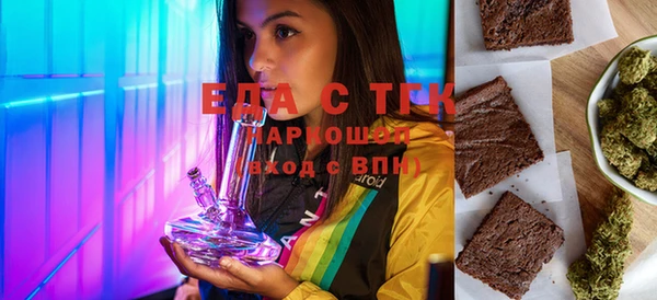 шишки Гусиноозёрск