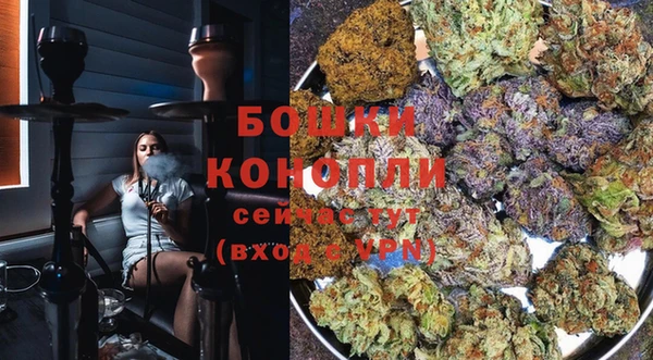 шишки Гусиноозёрск