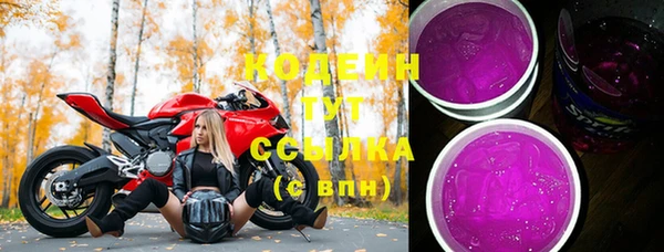 шишки Гусиноозёрск
