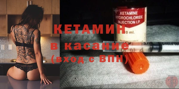 шишки Гусиноозёрск